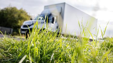 
Wiese mit Lkw im Hintergrund