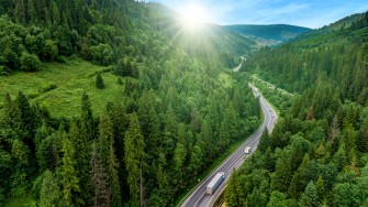 
Serpentinenstraße durch grünen Wald in hügeliger Landschaft, Sonnenstrahlen fallen auf die Bäume.