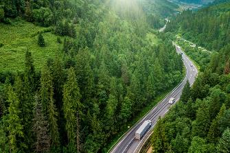 
Serpentinenstraße durch grünen Wald in hügeliger Landschaft, Sonnenstrahlen fallen auf die Bäume.